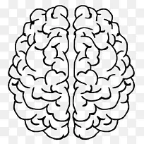 ���������񾭿�ѧ��Ӫ���տ�Ұϸ��-��-������