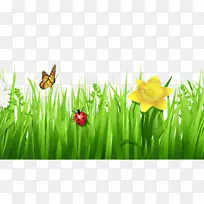 �����ֽ�ݻ�������.���ɱ߿�-������