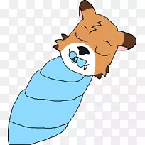 胡须狗猫鼻子夹艺术狗-空若网 胡须狗猫鼻子夹艺术狗-空若网