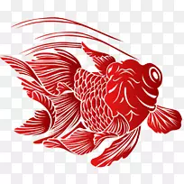 ����ֲ������ˮ��������-����-������