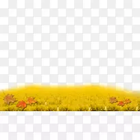 黄色向日葵天空草壁纸秋草-空若网 黄色向日葵天空草壁纸秋草-空若网