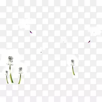 �ذ廨��-�����ѹ�Ӣ-������