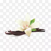 平叶香草乳清加香精-空若网 平叶香草乳清加香精-空若网