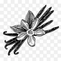 花身珠宝白花-空若网 花身珠宝白花-空若网