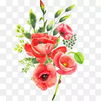 ��������л�ˮ�ʻ�.��-������