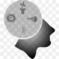 ��ѧʵ���һ�ѧ��ѧ����������ѧ-������