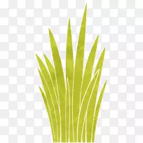 叶草植物茎商品科-叶-空若网 叶草植物茎商品科-叶-空若网