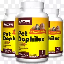 膳食补充剂猫配方益生菌宠物猫-空若网 膳食补充剂猫配方益生菌宠物猫-空若网