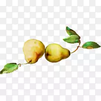 ƻ��Ϥ��ѩ��ˮ��Ϥ��-������