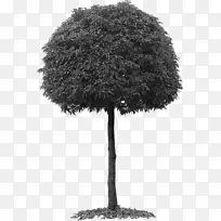 �����ݼ�����-��-������