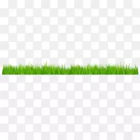 ���Ҷֲ�ﾥϵҶ-������