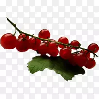 红加仑果酱-空若网 红加仑果酱-空若网