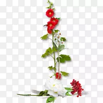 ˮ�ʻ�����-������