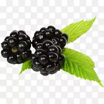 覆盆子果实,蓝莓,奥格里斯-覆盆子-空若网 覆盆子果实,蓝莓,奥格里斯-覆盆子-空若网