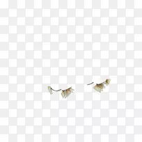 �����鱦����鱦-������