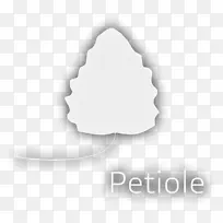 品牌白色字体设计-空若网 品牌白色字体设计-空若网