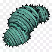 Ҷ����ֲ��ɳĮ�����ƿ��۾�-Ҷ-������