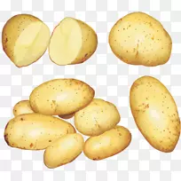 乡村布班克土豆蔬菜水彩画-蔬菜-空若网 乡村布班克土豆蔬菜水彩画-蔬菜-空若网