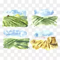 ˮ�ʻ���ͼ������-������