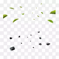 png������廭��-��Ҷʯ��������-������