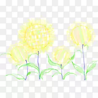 花卉设计花瓣枝叶向日葵-空若网 花卉设计花瓣枝叶向日葵-空若网