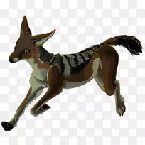 狗繁殖野生动物尾巴狗-空若网 狗繁殖野生动物尾巴狗-空若网