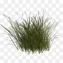 下载-童话场景-空若网 下载-童话场景-空若网