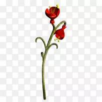 花卉设计玫瑰科切花-童话场景-空若网 花卉设计玫瑰科切花-童话场景-空若网