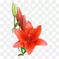 ���ͱ�ǩ��-������