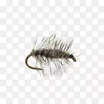 昆虫麝鼠人工蝇若虫-昆虫-空若网 昆虫麝鼠人工蝇若虫-昆虫-空若网