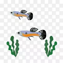 鱼类剪贴画设计-空若网 鱼类剪贴画设计-空若网