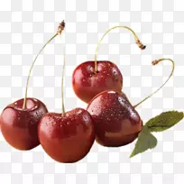 ӣ�ҹ�ʵ������-ӣ��-������