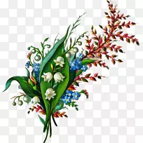 ��������л�����-������