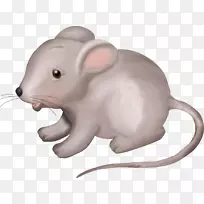 计算机鼠标鼻子动物计算机鼠标-空若网 计算机鼠标鼻子动物计算机鼠标-空若网