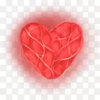 ���˽��������˽�-������