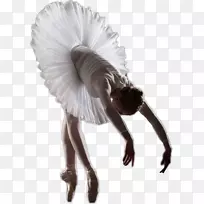 ��������Ӱ-����-������