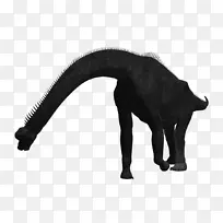 Ȯë��ɫ-������