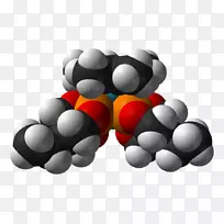 �����ֽ�������-������