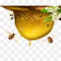 �۷仨-������