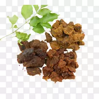 巴克瓦肉牛肉-牛肉干的味道-空若网 巴克瓦肉牛肉-牛肉干的味道-空若网