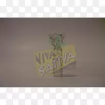 绿色长方形品牌字体-空若网 绿色长方形品牌字体-空若网