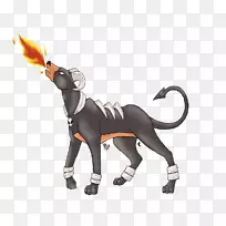 猫马尾巴动物-猫-空若网 猫马尾巴动物-猫-空若网