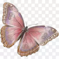 ºûµûÀ¥³æµçÄÔͼ±ê¼ôÌù»-ºûµû-¿ÕÈôÍø ºûµûÀ¥³æµçÄÔͼ±ê¼ôÌù»-ºûµû-¿ÕÈôÍø