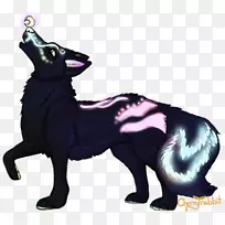 猫狗繁殖鼻子猫-空若网 猫狗繁殖鼻子猫-空若网