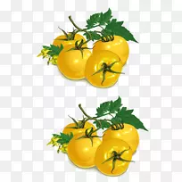 番茄蔬菜食品.柿子黄-空若网 番茄蔬菜食品.柿子黄-空若网