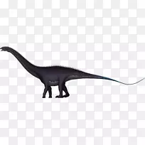 ��������-����-������