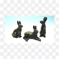 野兔动物-洛基-空若网 野兔动物-洛基-空若网