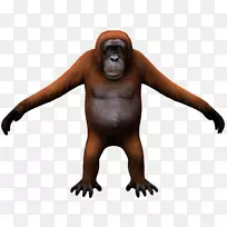 �����ɺ���ʳ�⶯��-������-������