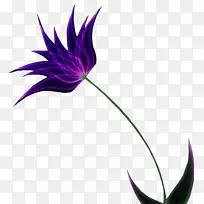 花瓣花设计-花-空若网 花瓣花设计-花-空若网