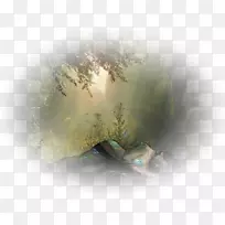 WordPress.com博客并不意味着糖果-空若网 WordPress.com博客并不意味着糖果-空若网